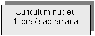 Text Box: Curiculum nucleu
1  ora / saptamana

